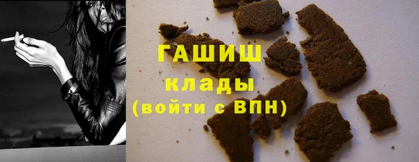 гашик Ельня