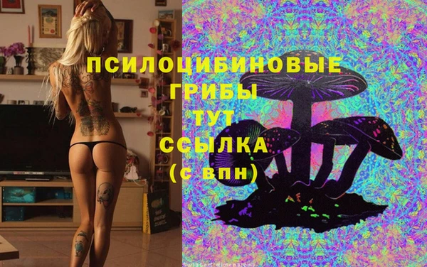 a pvp Кулебаки