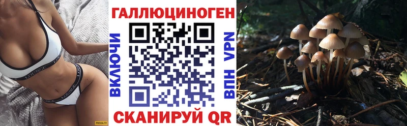 купить наркотики сайты Всеволожск Псилоцибиновые грибы GOLDEN TEACHER