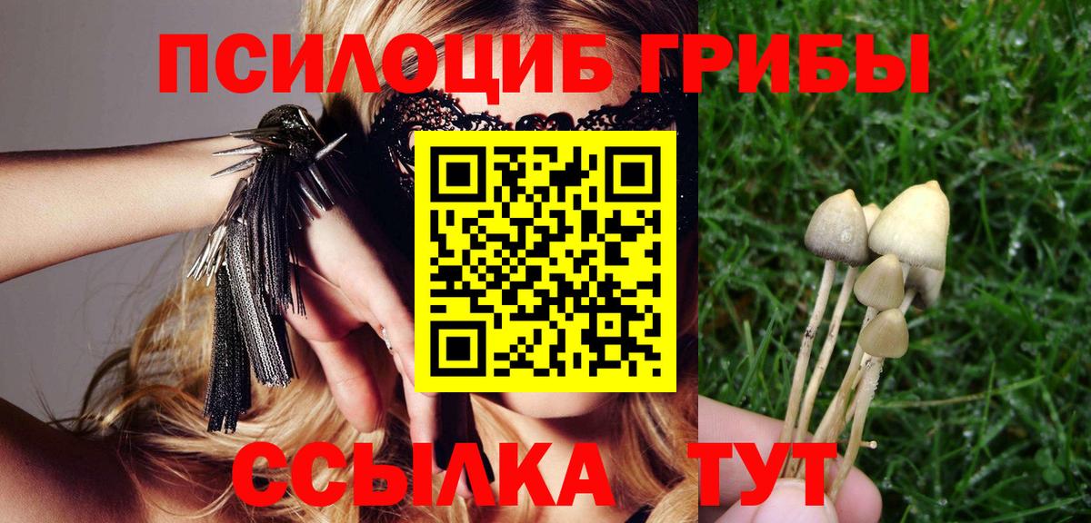 Галлюциногенные грибы GOLDEN TEACHER Всеволожск