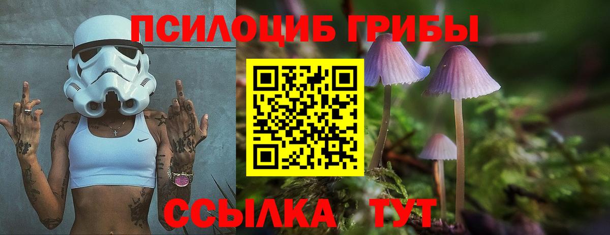 Галлюциногенные грибы GOLDEN TEACHER  Вход с VPN  купить наркотики цена  Всеволожск 