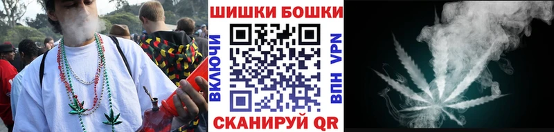 Марихуана сатива  дарнет шоп  Всеволожск 